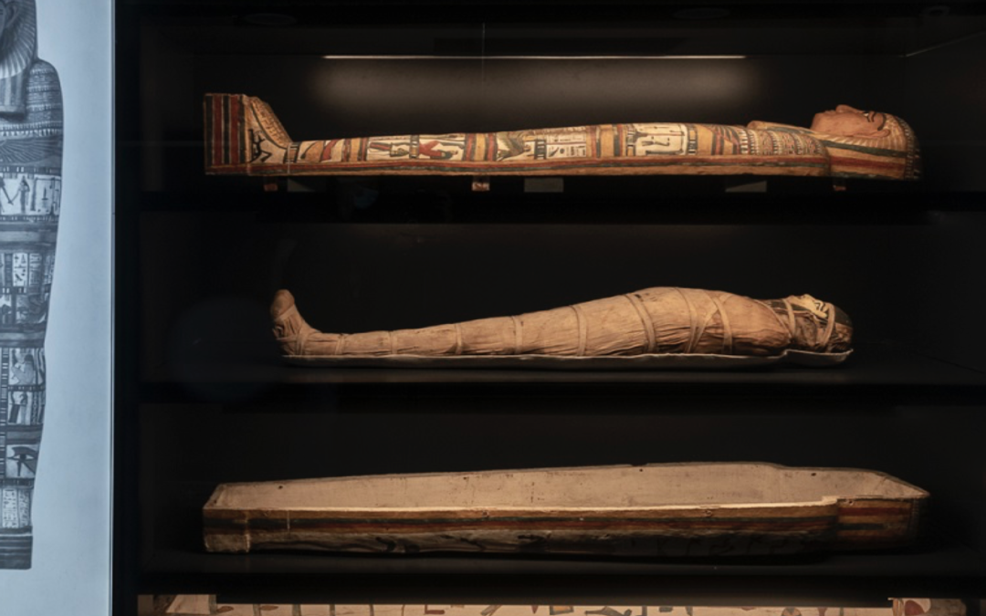 mummia di Imothep – progettazione supporto